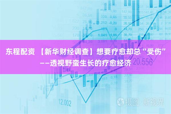 东程配资 【新华财经调查】想要疗愈却总“受伤”——透视野蛮生长的疗愈经济