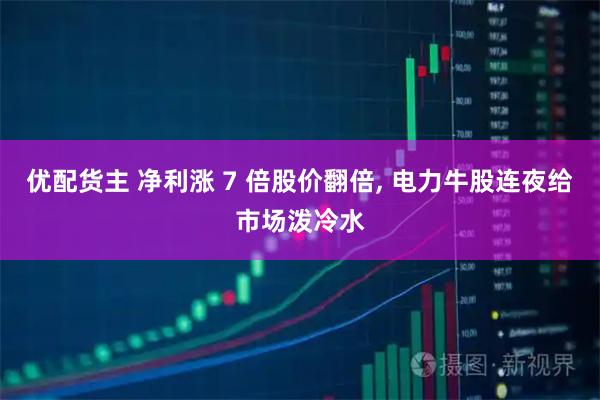 优配货主 净利涨 7 倍股价翻倍, 电力牛股连夜给市场泼冷水